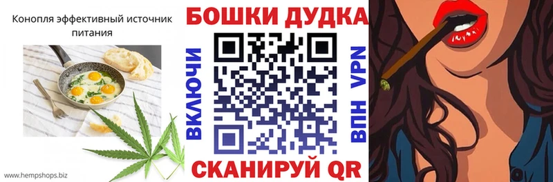 hydra ONION  Урус-Мартан  Canna-Cookies конопля 