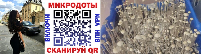 Галлюциногенные грибы GOLDEN TEACHER  магазин  наркотиков  Урус-Мартан 